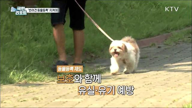 선택이 아닌 필수 '반려견 동물등록 제도’
