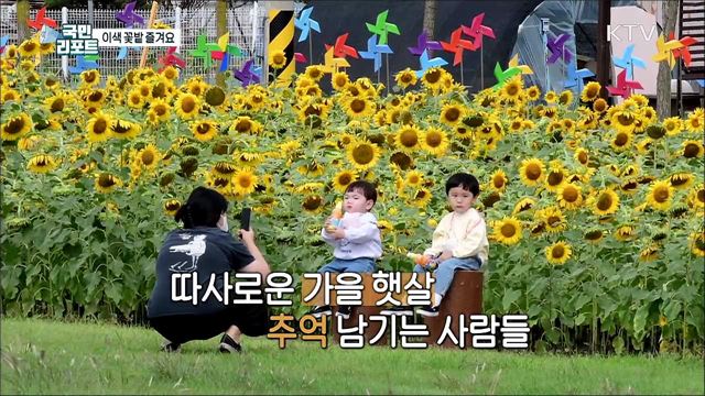 가을이 성큼, 다양한 공간에서 '이색 꽃밭' 즐겨요