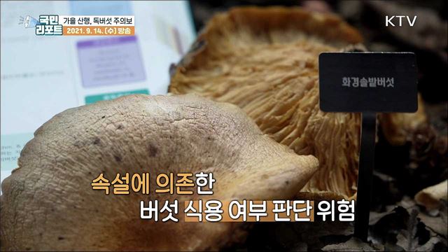 가을 산행 '독버섯' 주의, 함부로 먹으면 큰일