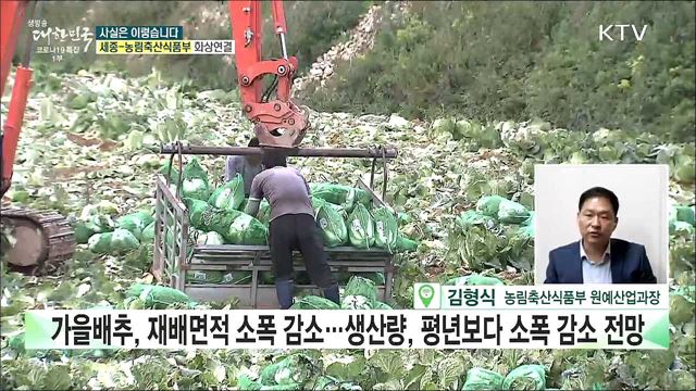 추위·병충해로 배추값 급등···김장대란 오나? [사실은 이렇습니다]