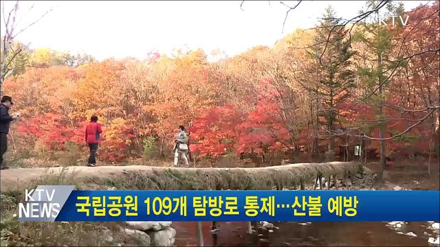 국립공원 109개 탐방로 통제···산불 예방