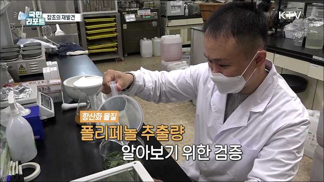 '잡초'의 재발견, 화장품부터 모기 물림 치료제까지