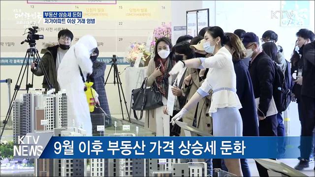 "부동산 상승세 둔화···저가아파트 이상 거래 엄벌"
