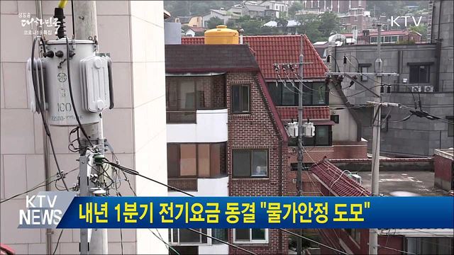 내년 1분기 전기요금 동결 "물가안정 도모"
