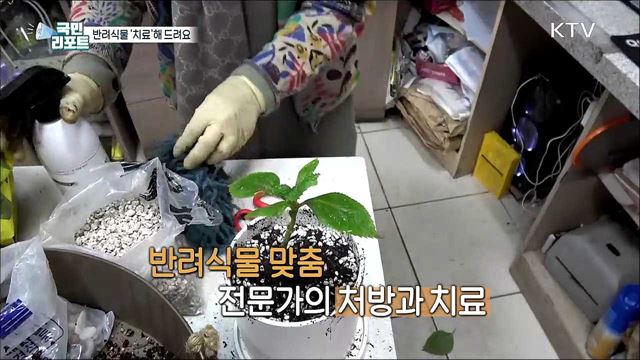 "아픈 식물 데리고 오세요" 대구 반려식물 치료센터