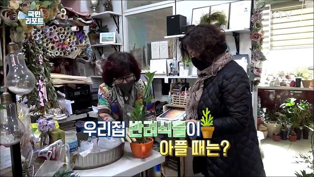 "아픈 식물 데리고 오세요" 대구 반려식물 치료센터