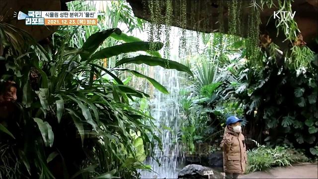 '크리스마스 분위기' 연출해 식물원 눈길 끌어
