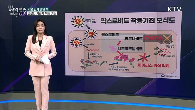 기저질환자, 코로나 먹는 치료제 복용해도 될까? [사실은 이렇습니다]