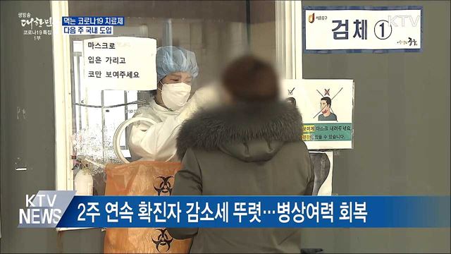 "먹는 코로나19 치료제 다음 주 도입"