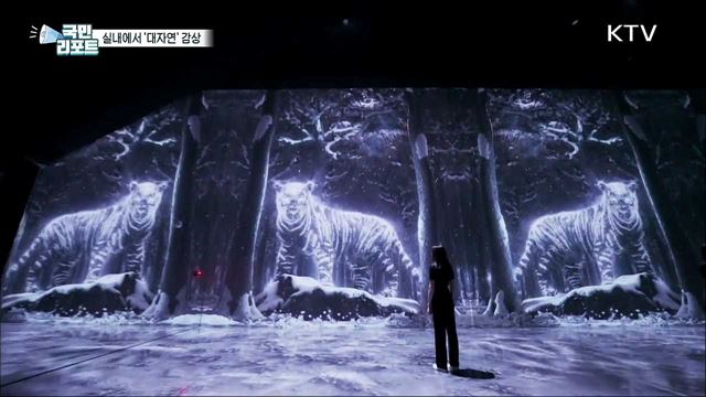 대자연이 눈앞에, 강릉 초대형 '실감형 미디어아트' 전시관