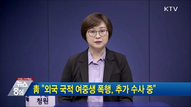靑 "외국 국적 여중생 폭행, 추가 수사 중"