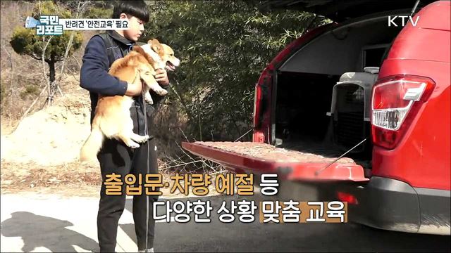 개물림 사고 증가 "일반견도 안전교육을"