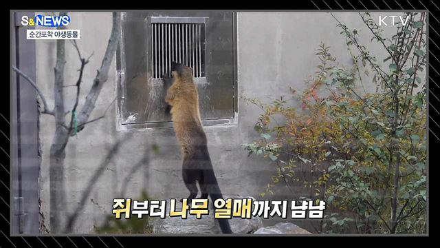 위험천만 붕괴현장 레이더로 골든타임 확보 [S&News]