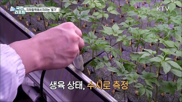 광주 지하철역 '인공지능 스마트팜' 눈길