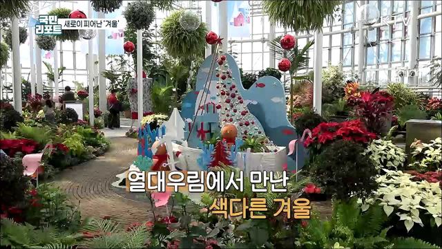 국립세종수목원에서 만나는 세계의 '겨울정원'