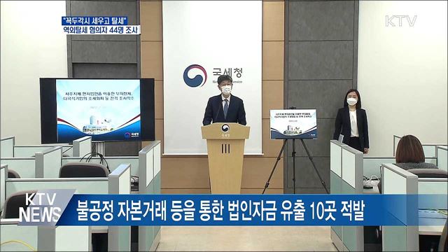 "꼭두각시 세우고 탈세"···역외탈세 혐의자 44명 조사