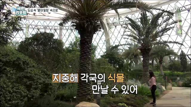 도심에서 열대 자연 즐겨요 '서울식물원' 인기