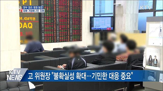 정부 "대러 제재 동참···피해 기업에 최대 2조 지원"