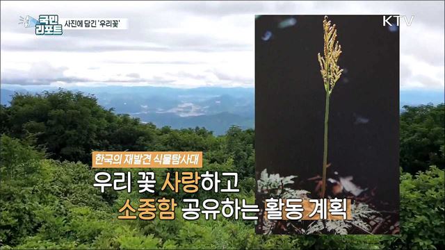 '꽃 향에 취해' 식물탐사대가 사진에 담은 우리 꽃