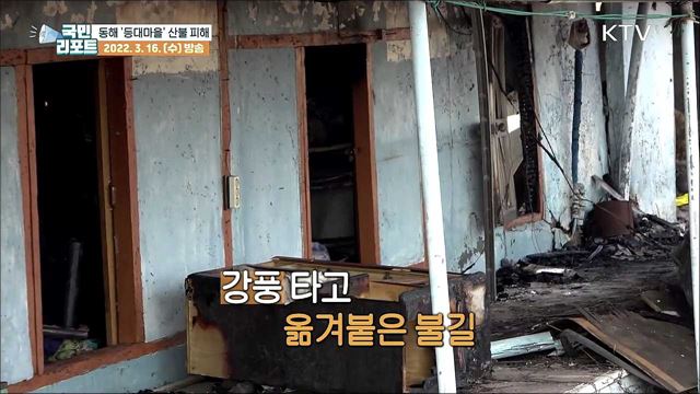 '등대마을'도 잿더미, 관광 산업에도 큰 타격