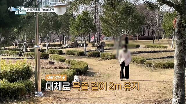 4월부터 반려견 목줄 2m 이내 위반 '과태료’