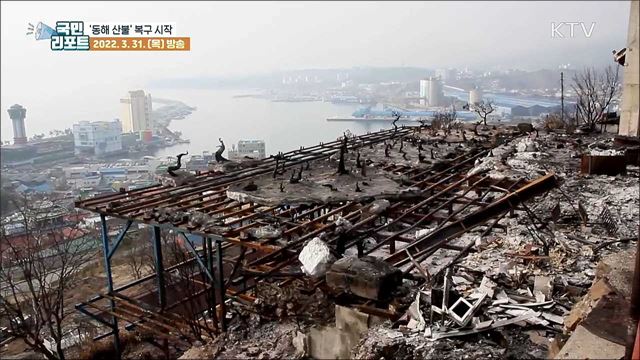 '동해 산불' 피해, 마을 복구 작업 시작