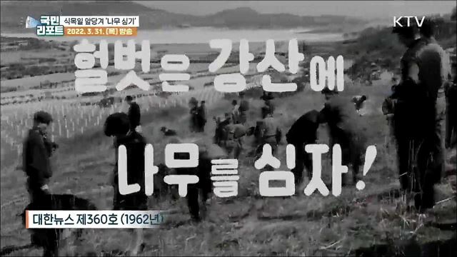 온난화 여파로 식목일 앞당겨 '나무 심기'