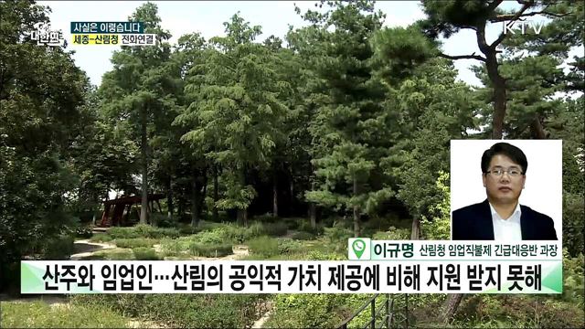 오는 10월 '임업직불제' 시행···임업인 소득 안정 기여할까? [사실은 이렇습니다]