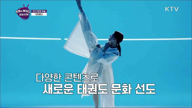태권 퍼포먼스 K-타이거즈 / 서울야경 명소