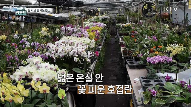 꽃 사고 농가도 돕고, 활짝 핀 '봄꽃 시장’