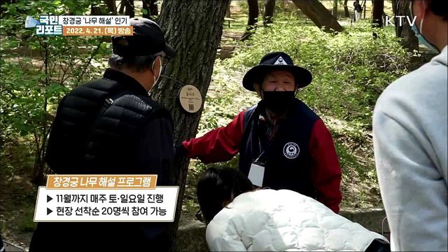 창경궁 거닐며 '나무 해설 프로그램' 인기