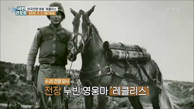탄약 싣고 포화 속으로, 6·25전쟁 영웅마 '레클리스’