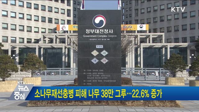 소나무재선충병 피해 나무 38만 그루···22.6% 증가