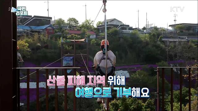 산불 피해 지역 살리는 '동해안 여행 캠페인’