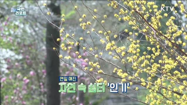"예약이 하늘의 별 따기" 산림휴양시설 늘어난다
