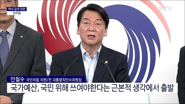 백서 공개 관련 브리핑 
