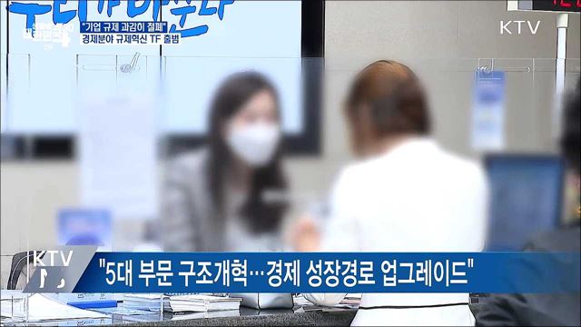 "기업 규제 과감하게 철폐···경제분야 규제혁신 TF 출범"