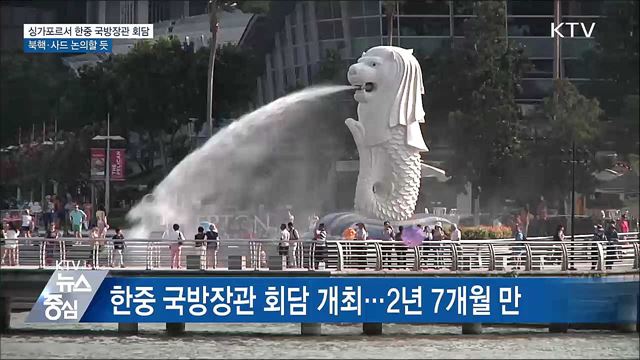 싱가포르서 한중 국방장관 회담···북핵·사드 논의할 듯