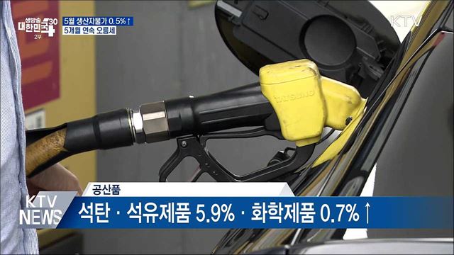 5월 생산자물가 0.5%↑···5개월 연속 오름세