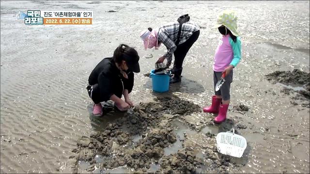 진도 '어촌체험마을'에 가족 관광객 몰려
