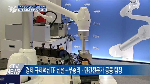 추 부총리 "안전·건강 외 모든 규제 개선"