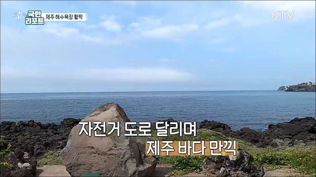 제주 해수욕장 개장, 즐길 거리 5가지 추천 