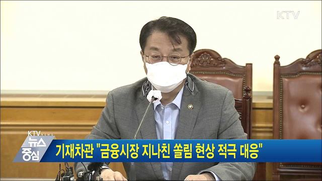 기재차관 "금융시장 지나친 쏠림 현상 적극 대응"