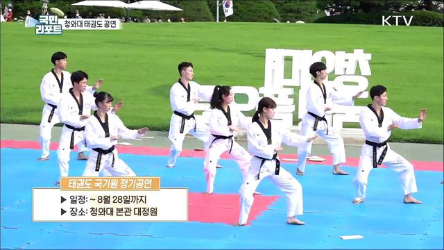 청와대에서 태권도 공연, 관람객 눈길 끌어