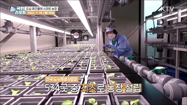 폐건물 활용 스마트 농장, 사계절 채소 생산해요