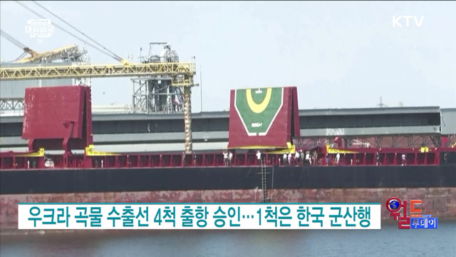 우크라 곡물 수출선 4척 출항 승인···1척은 한국 군산행 [월드 투데이]