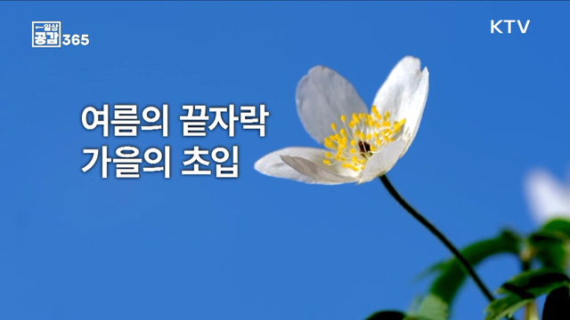 계절이 가고 오는 소리 [일상공감365]