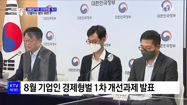 "생활밀착형 경제형벌 개선 검토···12월까지 방안 마련"