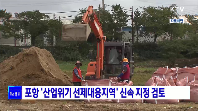 포항 '산업위기 선제대응지역' 신속 지정 검토