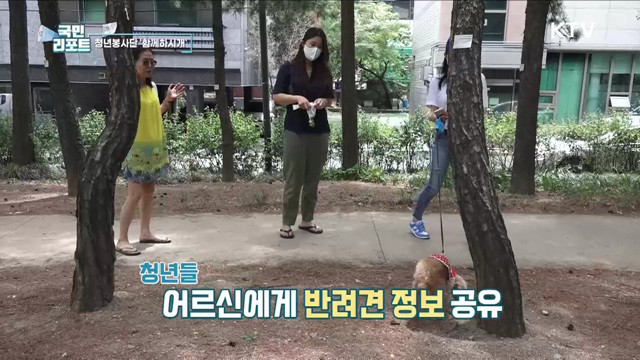 반려동물과 함께하는 1인 가구 어르신 도와요